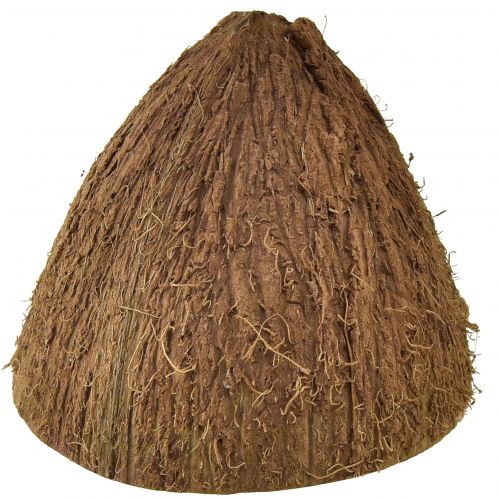 Floristik24 Coconut Bowl Decoration Natural Half Coconuts Ø7-9cm 5 pcs
