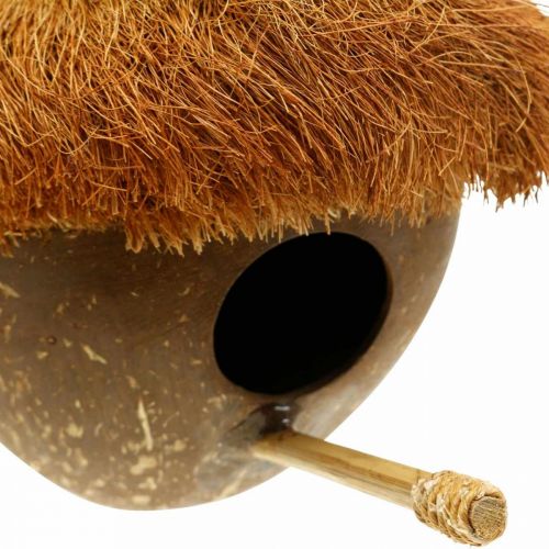 Product Coconut as a nesting box, birdhouse to hang, coconut decoration Ø16cm L46cm