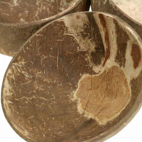 Floristik24 Coconut decorative bowl natural polished 6 pieces