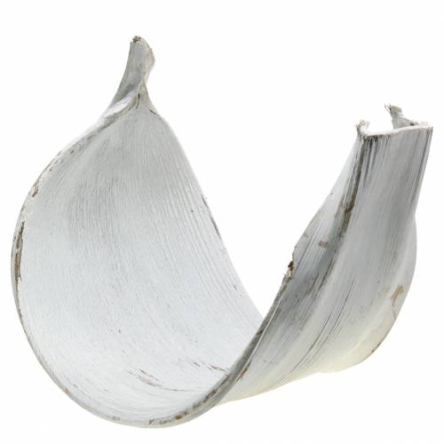 Floristik24 Coconut shell coconut leaf washed white