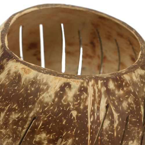 Product Coconut shell polished with stripes nature Ø12cm - Ø14cm 1pc