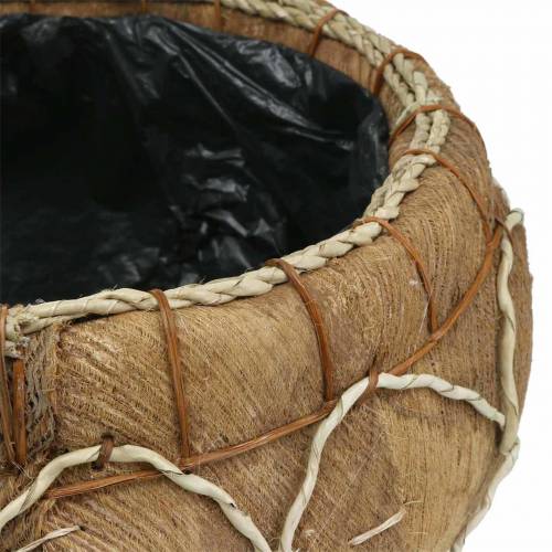 Floristik24 Planter coconut natural Ø37 / 24cm, set of 2