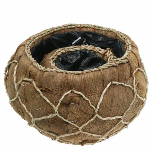 Floristik24 Planter coconut natural Ø37 / 24cm, set of 2