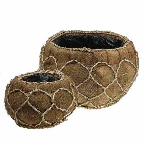 Floristik24 Planter coconut natural Ø37 / 24cm, set of 2