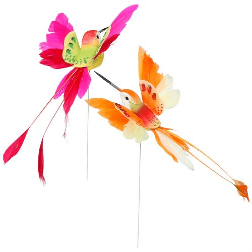 Floristik24 Hummingbird on the wire to plug Pink, Orange 17cm 6pcs