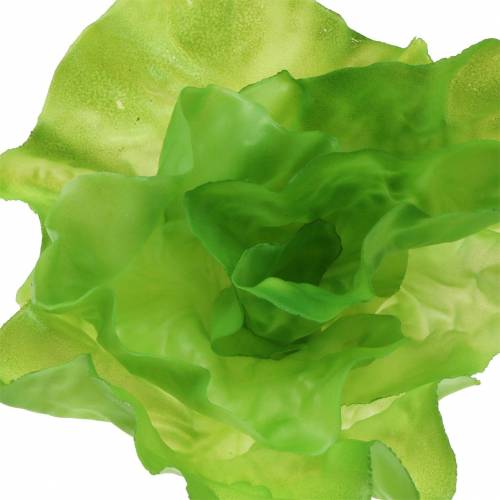 Floristik24 Leaf lettuce artificial Real-Touch 17cm