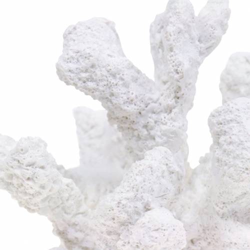 Floristik24 Coral plaster white H11cm 2pcs