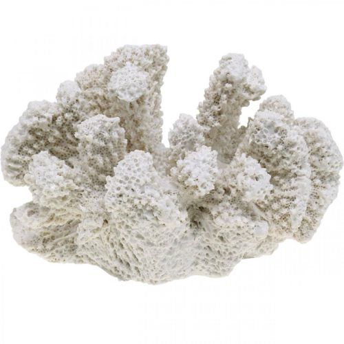 Floristik24 Maritime decoration coral white artificial polyresin small 13.5x12 cm