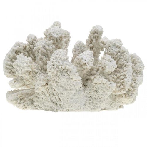 Floristik24 Maritime decoration coral white artificial polyresin small 13.5x12 cm