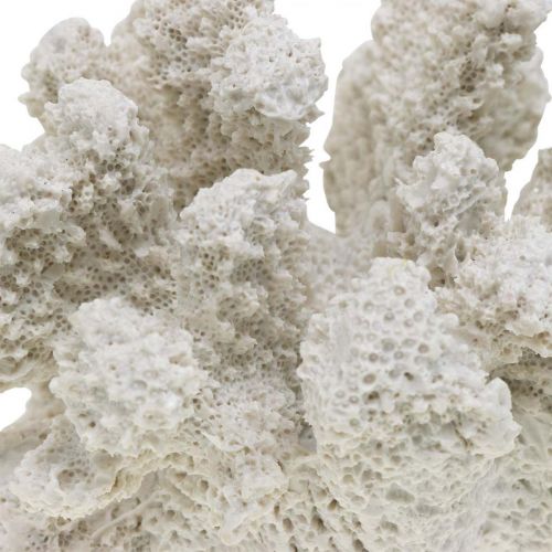 Floristik24 Maritime decoration coral white artificial polyresin small 13.5x12 cm