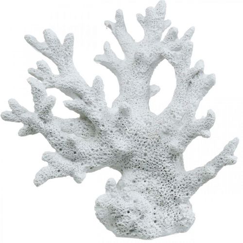Floristik24 Maritime decoration coral white summer decoration 14.5×14.5cm