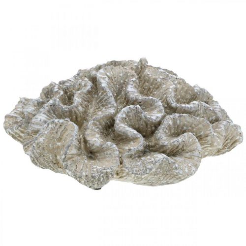 Maritime decoration coral beige white artificial polyresin 23x20cm