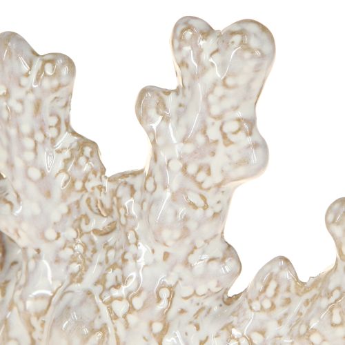 Product Coral decoration ceramic maritime table decoration beige H14.5cm