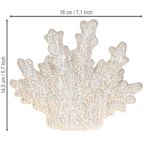 Product Coral decoration ceramic maritime table decoration beige H14.5cm