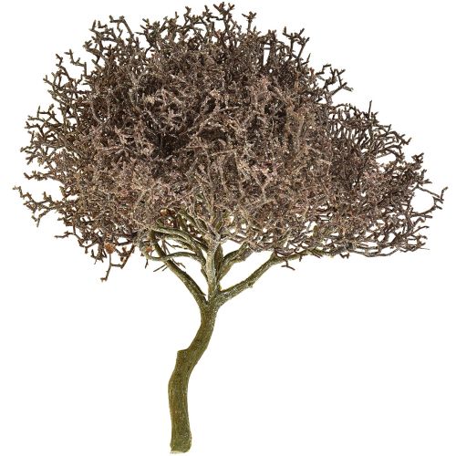 Floristik24 Coral Branch Frosted Artificial Plants Winter Decoration Ø23cm