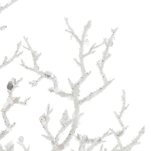 Product Coral branch with mica white L32cm 3pcs