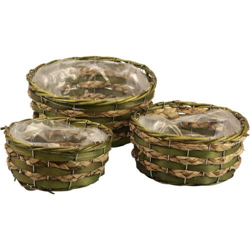 Floristik24 Basket plant basket braided green 30×24/26×20/22×15cm set of 3