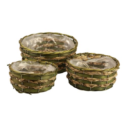 Basket round plant basket woven green wood Ø26/21/18cm set of 3