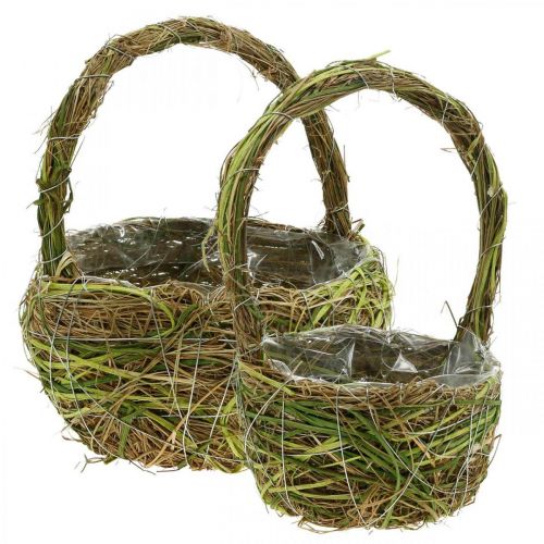 Floristik24 Plant basket with handle spring basket green 14×25/18×28cm set of 2