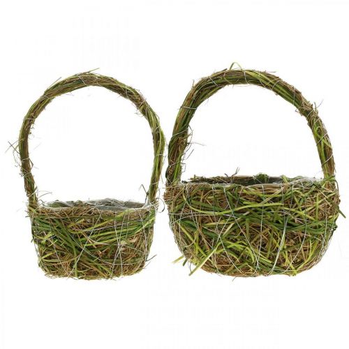 Floristik24 Plant basket with handle spring basket green 14×25/18×28cm set of 2