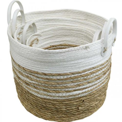 Floristik24 Basket for planting, utensil with handles, organizer white, natural Ø32/28/23cm H30/25/19cm set of 3