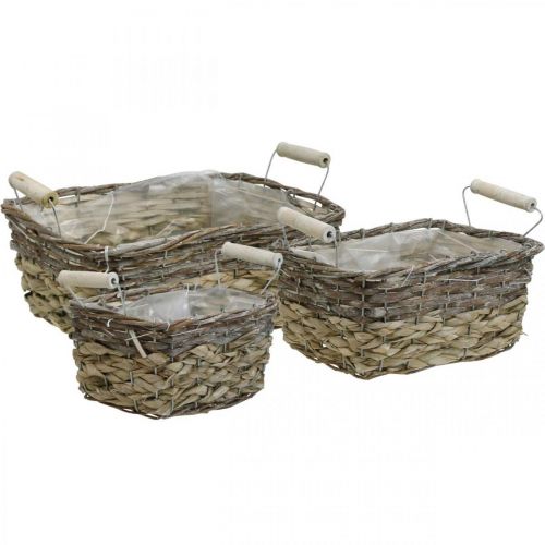 Product Plant basket with handles, square basket bowl, natural planter for planting shabby chic washed white L30/25.5/21 cm H12/11/10 cm set of 3