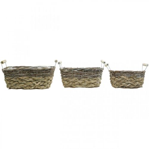 Product Plant basket with handles, square basket bowl, natural planter for planting shabby chic washed white L30/25.5/21 cm H12/11/10 cm set of 3