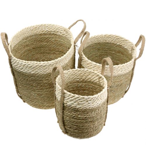 Floristik24 Sisal basket Ø37 / 30 / 25cm 3pcs