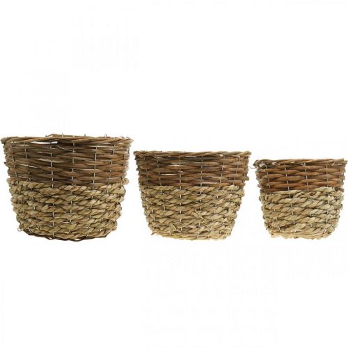 Product Flower basket for planting, planter, wicker basket nature Ø27/25/20cm H20/18/17cm set of 3