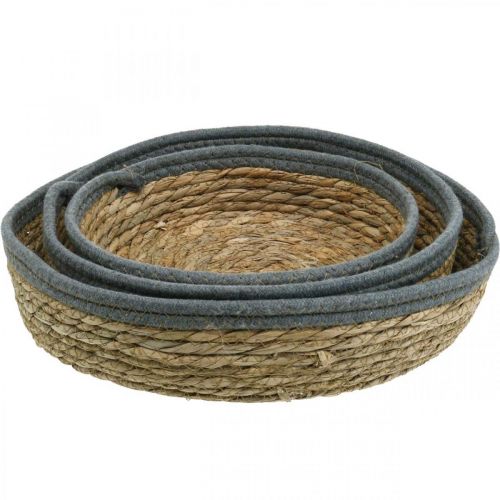 Product Basket tray round, natural plant bowl, decorative tray braided nature Ø33/30/25cm H8/7cm set of 3