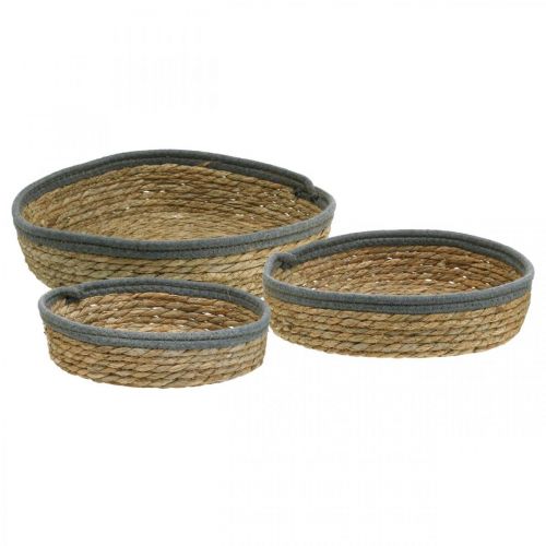Product Basket tray round, natural plant bowl, decorative tray braided nature Ø33/30/25cm H8/7cm set of 3