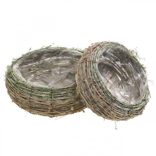 Floristik24 Plant basket round two-tone vine, wood Ø18 / 25cm, set of 2