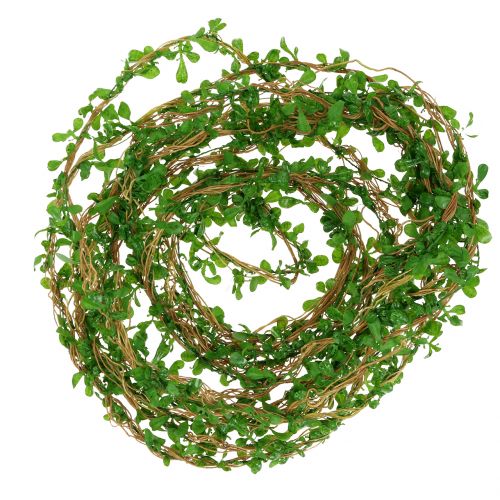 Floristik24 Boxwood vine garland 6m