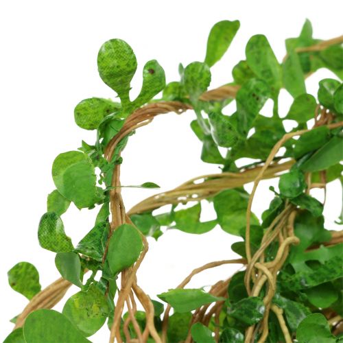 Floristik24 Boxwood vine garland 6m
