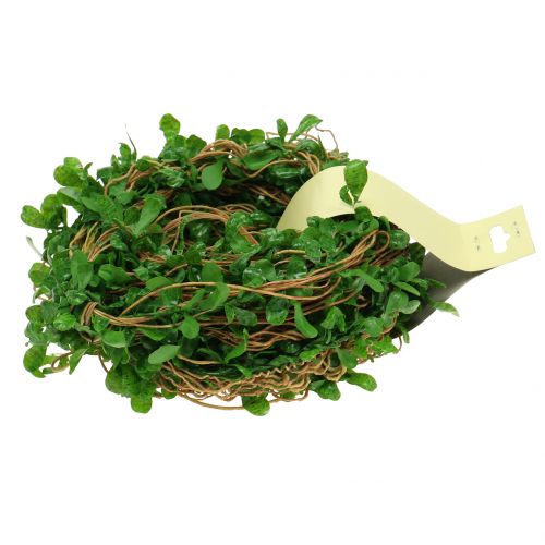Floristik24 Boxwood vine garland 6m