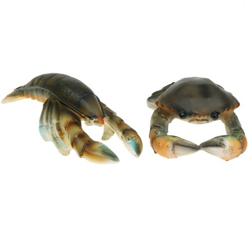 Floristik24 Decorative crab and lobster 11cm - 15cm