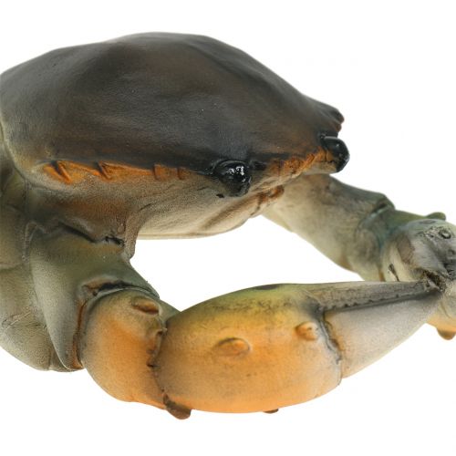 Floristik24 Decorative crab and lobster 11cm - 15cm