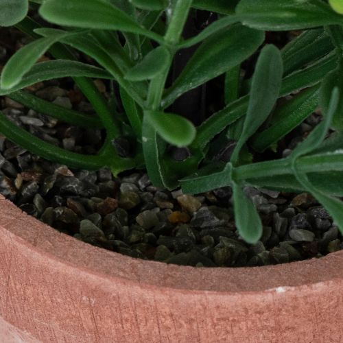 Product Artificial plant in a flower pot with realistic texture for indoor use and decoration, 18cm, 3 pieces