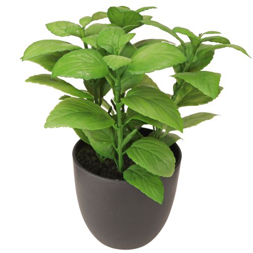 Product Artificial herbs basil thyme rosemary Ø11.5cm 3pcs