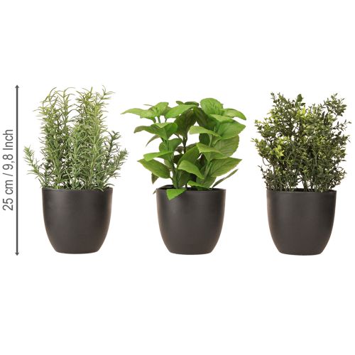 Product Artificial herbs basil thyme rosemary Ø11.5cm 3pcs