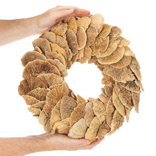 Natural Baumschwamm Wreath for Wall or Door Decoration, 37cm | Floristik24.co.uk