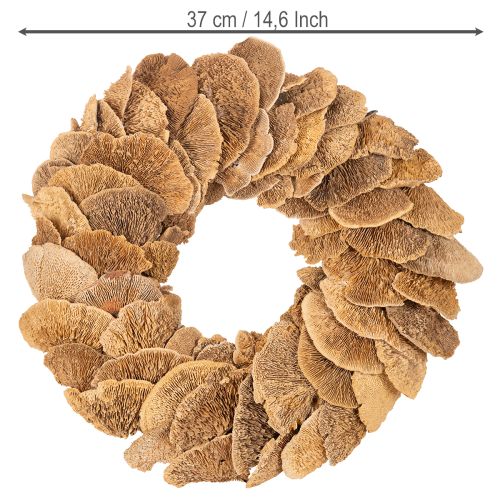 Natural Baumschwamm Wreath for Wall or Door Decoration, 37cm | Floristik24.co.uk
