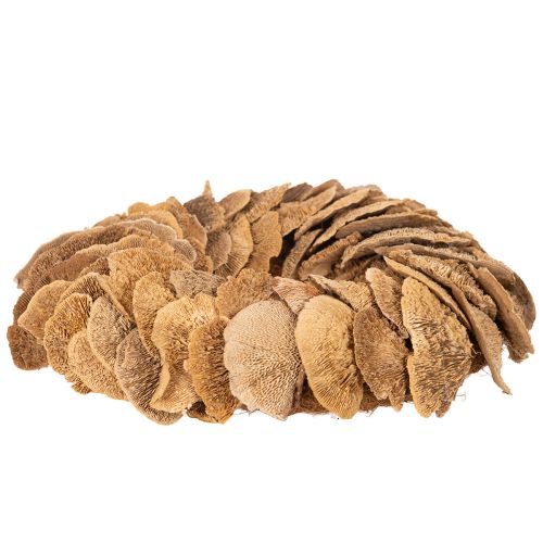 Natural Baumschwamm Wreath for Wall or Door Decoration, 37cm | Floristik24.co.uk