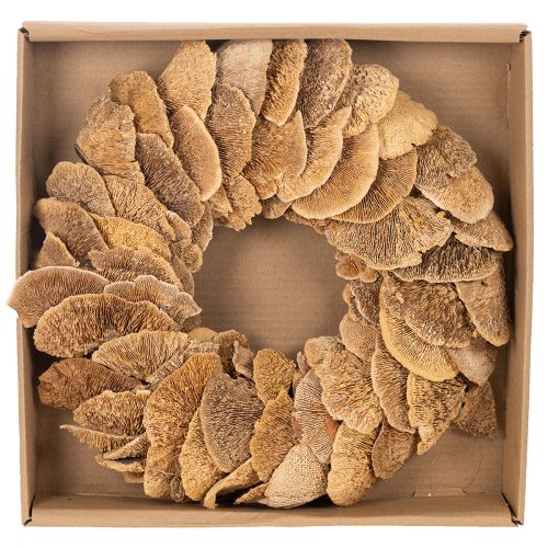 Natural Baumschwamm Wreath for Wall or Door Decoration, 37cm | Floristik24.co.uk