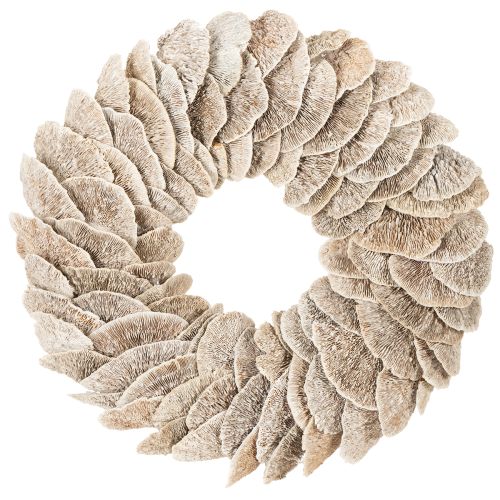 Natural Baumschwamm Wreath with Fiber Base 37cm buy online | Floristik24.co.uk