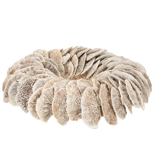 Natural Baumschwamm Wreath with Fiber Base 37cm | Floristik24.co.uk