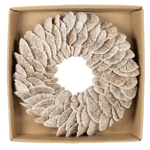 Natural Baumschwamm Wreath with Fiber Base 37cm | Floristik24.co.uk