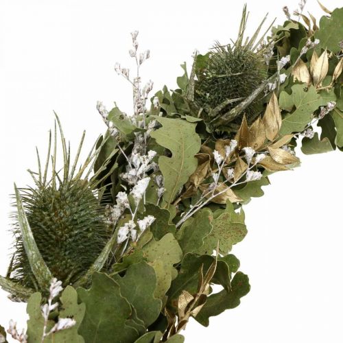 Product Christmas wreath dried wreath oak thistle Ø45cm