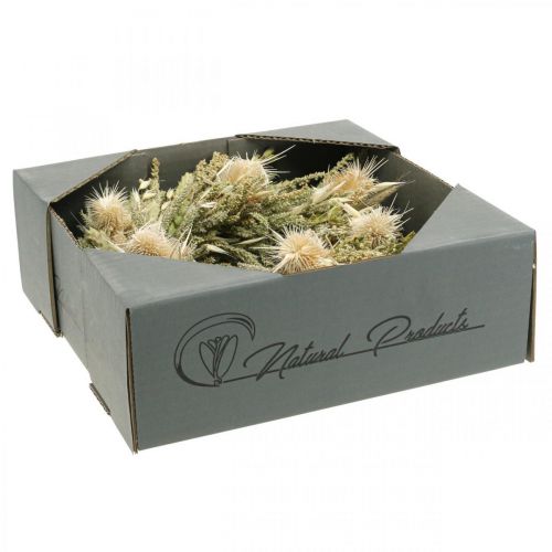 Floristik24 Dried flower wreath thistles grasses grains Ø28cm