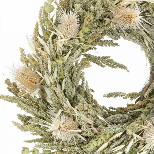 Floristik24 Dried flower wreath thistles grasses grains Ø28cm